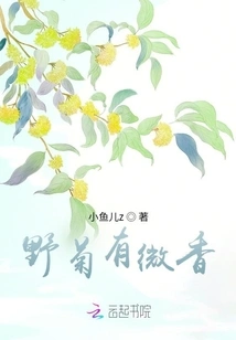 Wild Chrysanthemum Has a Slight Fragrance