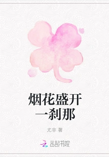 Fireworks Bloom for a Moment