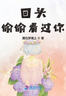 I Looked Back at You Secretly