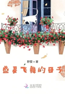 Midsummer Flying Days