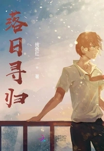 Seeking Home at Sunset