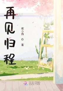 Goodbye on the Return Journey