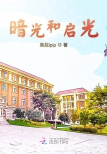 Dark Light and Illumination