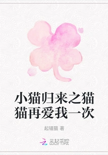 Kitten Returns: Cat Love Me Again