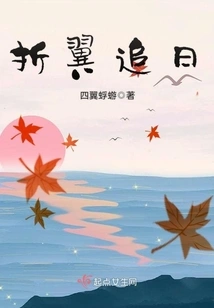 Broken Wings Chasing the Sun