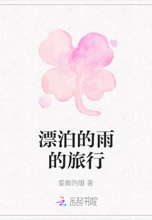 The Journey of Wandering Rain