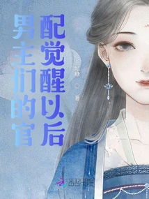 After the Official Spouses of the Male Protagonists Wake Up