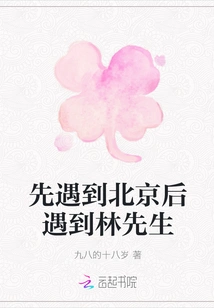 First I Met Beijing and Then I Met Mr. Lin