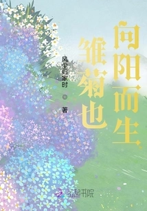 Daisies Also Grow Toward the Sun