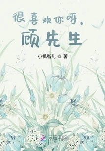 I Like You Very Much, Mr. Gu