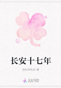 Chang'an Seventeenth Year