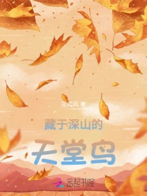 Bird of Paradise Hidden in the Mountains