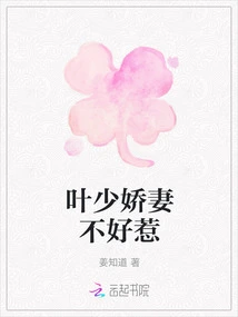 Young Master Ye's Wife is Not Easy to Mess With