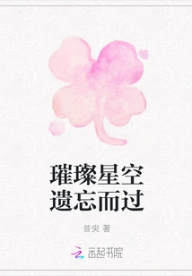 The Bright Starry Sky Passed by Forgotten