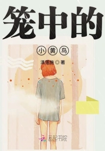 Little Yellow Bird in Cage