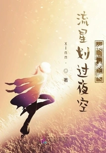 Meteors Streak Across the Night Sky for a Moment