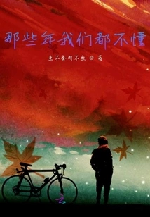 We Didn't Understand Those Years