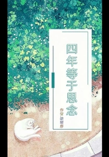 Four Years Equals Missing You