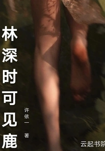 Deer Can Be Seen in the Deep Forest