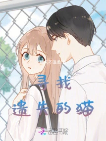 Looking for Lost Cat