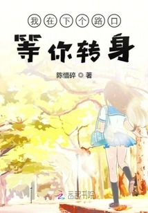 I'll Wait for You to Turn Around at the Next Intersection