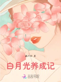 Bai Yueguang's Development Story