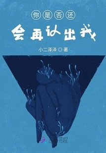 Will You Recognize Me Again