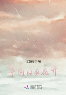 Waiting for the Sunflowers to Bloom