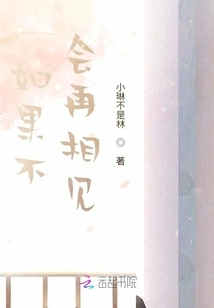 If We Never Meet Again