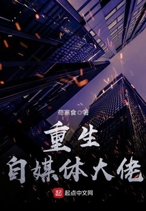 Reborn Self-media Boss