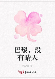 Paris, No Sunny Days