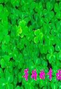 Waiting for Happiness