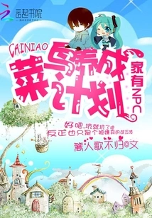 Npc at Home: Rookie Development Plan