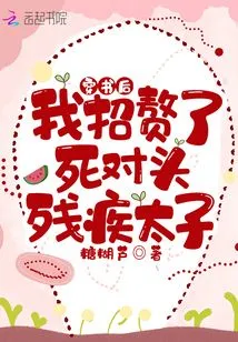 After Passing Through the Book, I Recruited My Archenemy, the Disabled Prince