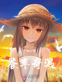 Food Truck Adventures