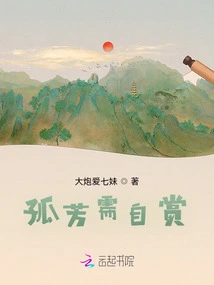 Memoirs of a Sweater