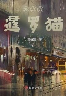 Siamese Cat on the Beach