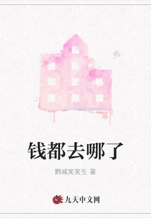 Where Did the Money Go?