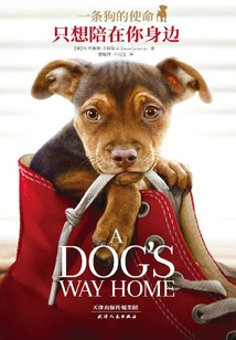 A Dog's Purpose (original Movie of the Same Name)