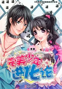 The Evolution of the Perfect Boy