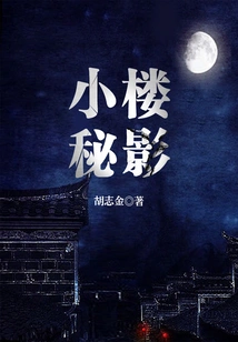 The Secret Shadow of the Small Building