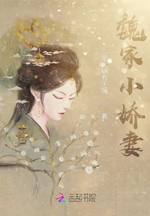 The Little Wife of the Wei Family