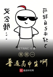 I'm Just an Ordinary High School Student