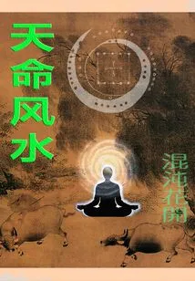 Tiandao Feng Shui Master