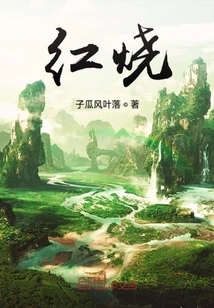 Braised in Soy Sauce