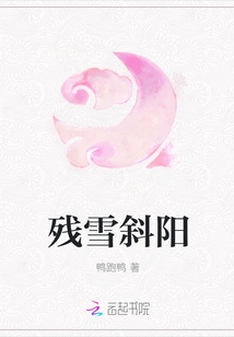 Remaining Snow and Setting Sun