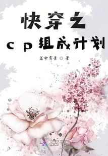 Quick Travel Cp Composition Plan