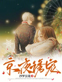 Beijing Night Lures Pets