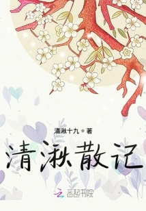 Random Notes of the Qing Dynasty