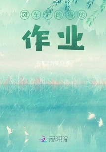 The Homework of the Cat under the Windmill